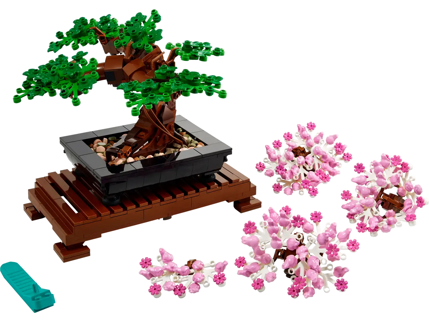 Bonsai Tree #10281