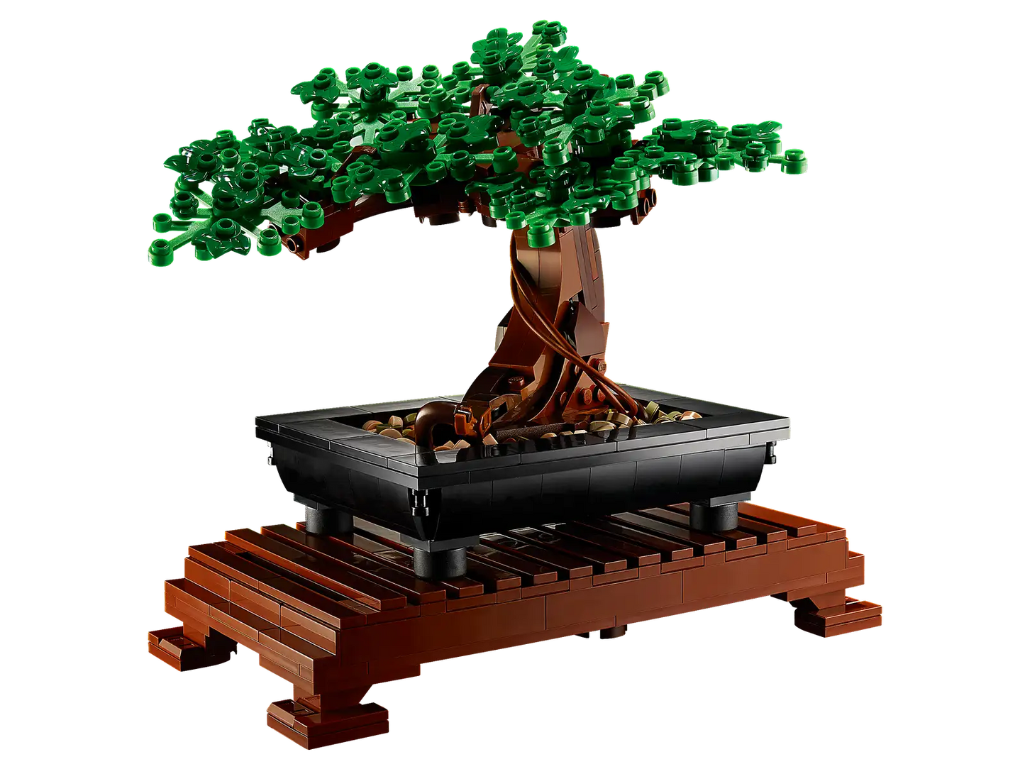 Bonsai Tree #10281