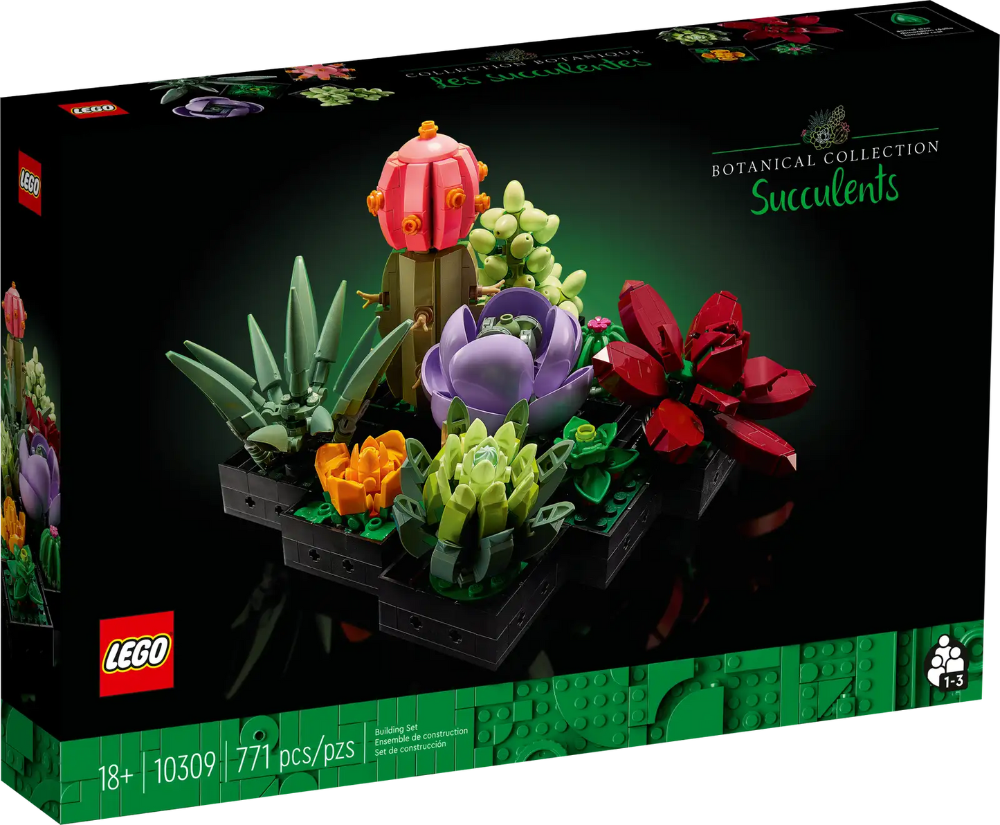 Succulents #10309
