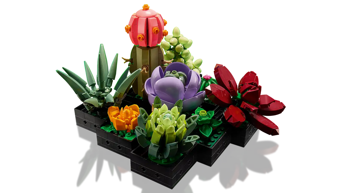 Succulents #10309