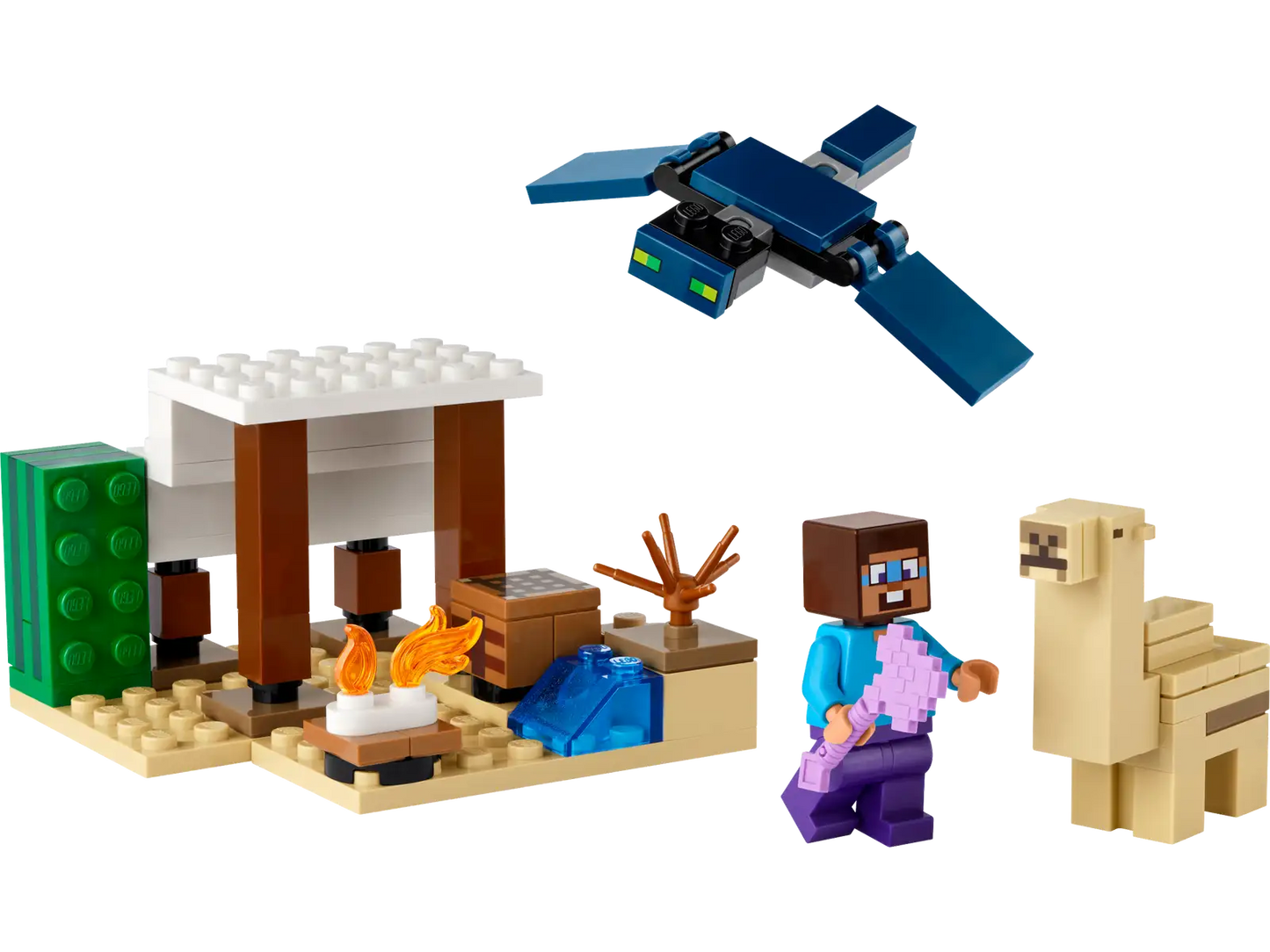 Steve'S Desert Expedition #21251