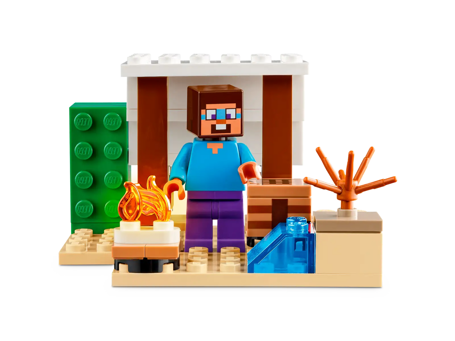 Steve'S Desert Expedition #21251