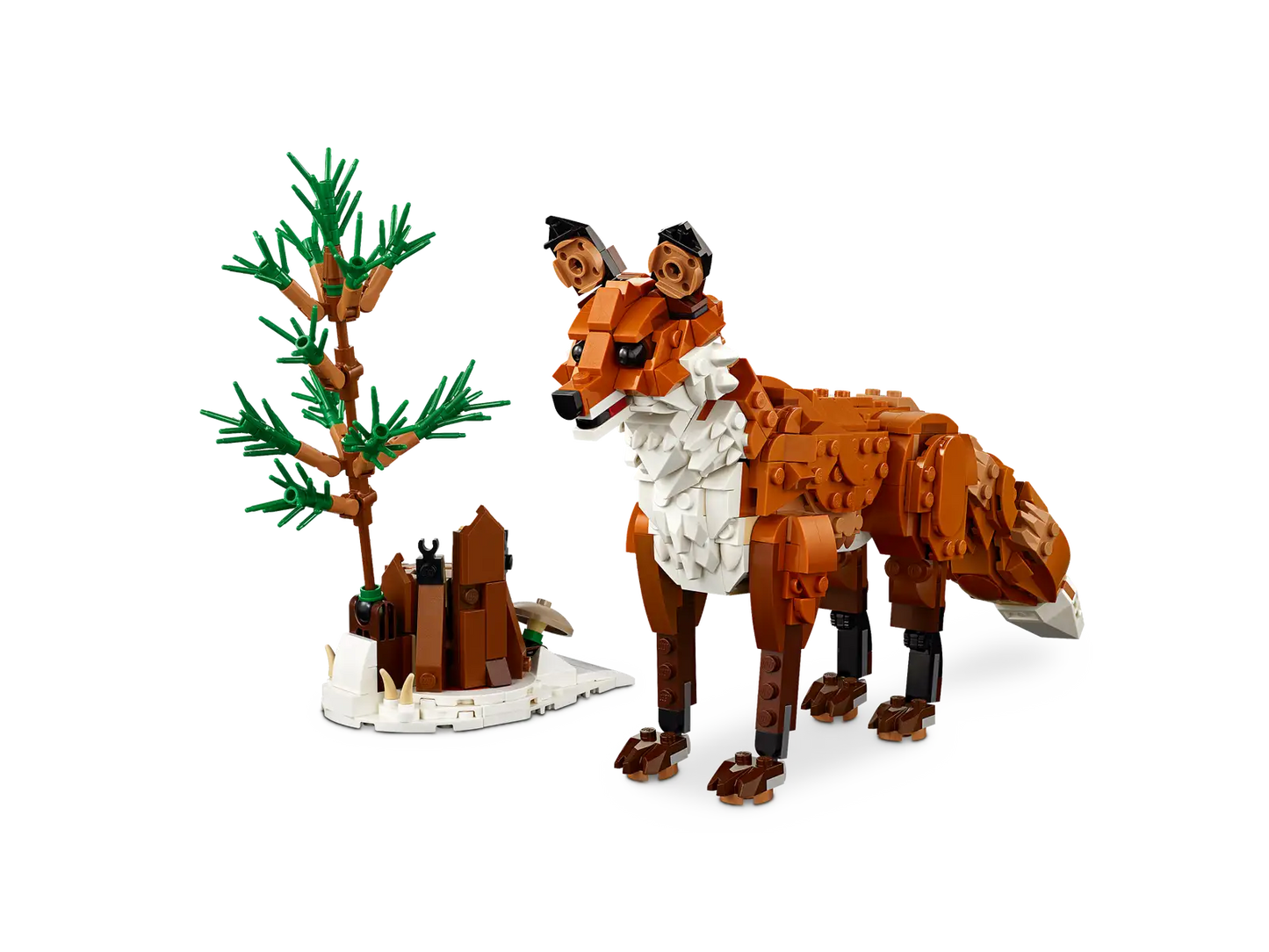 Forest Animals: Red Fox #31154