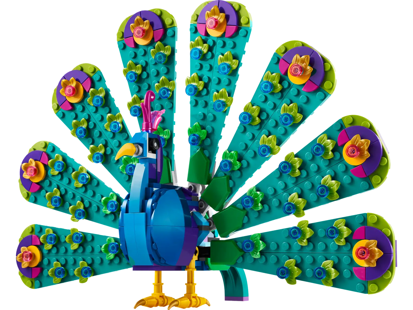 Exotic Peacock #31157