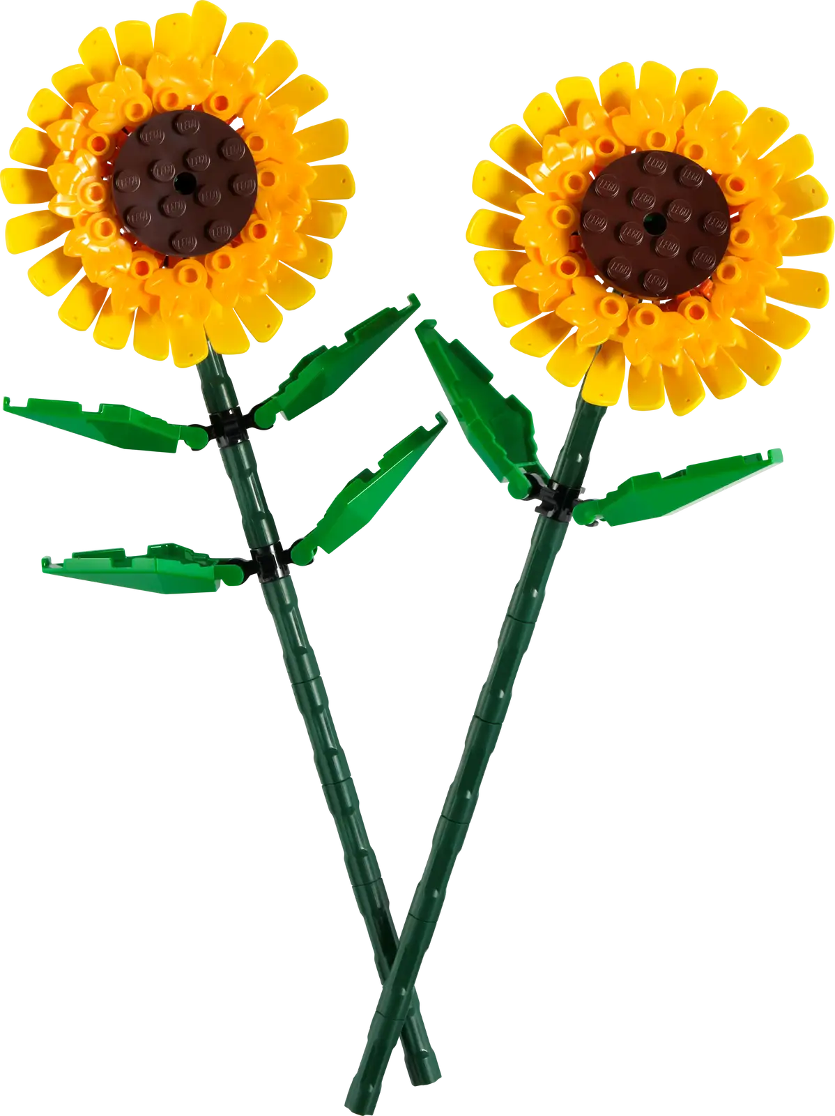 Sunflowers #40524