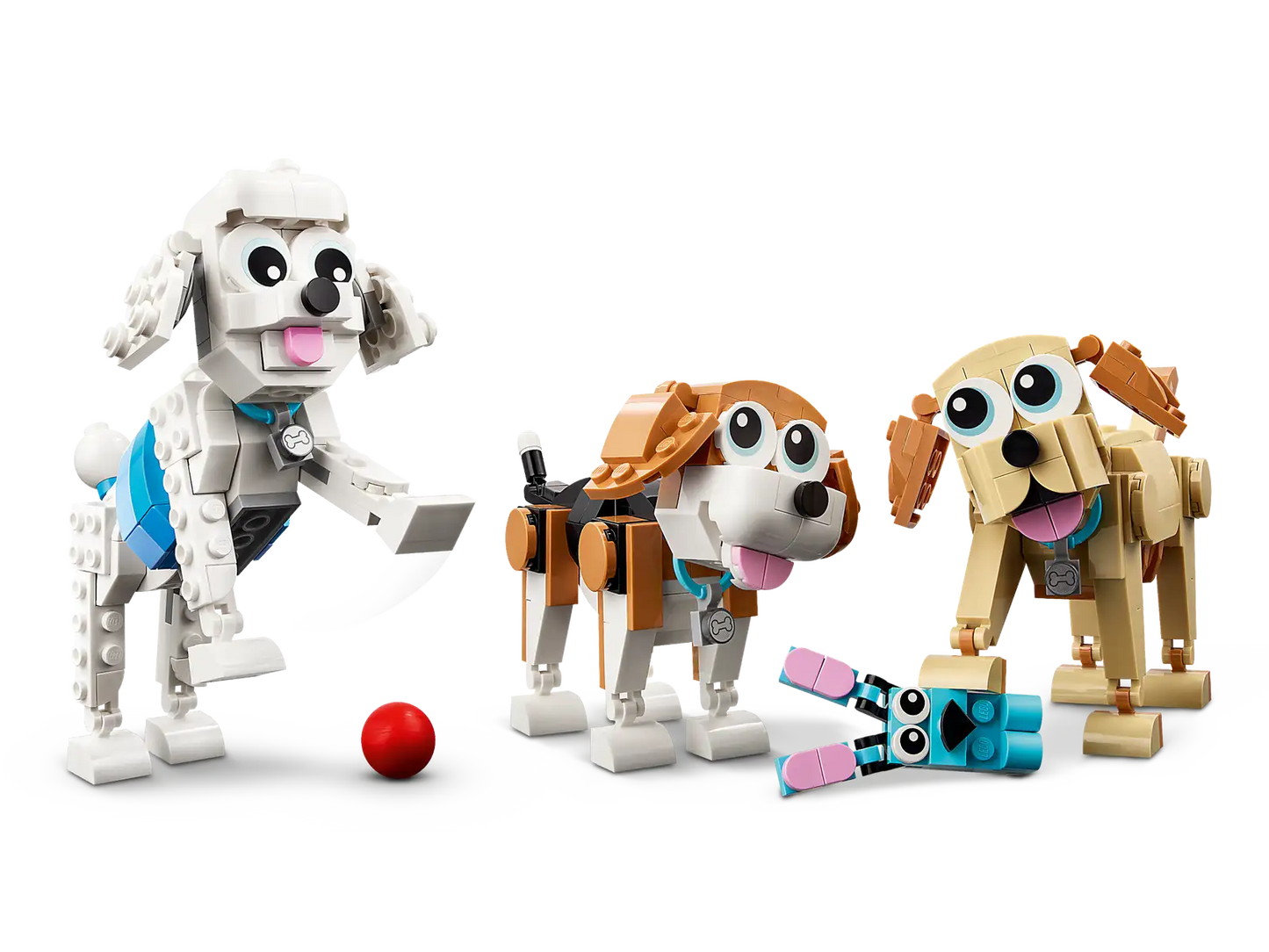 Adorable dogs #31137