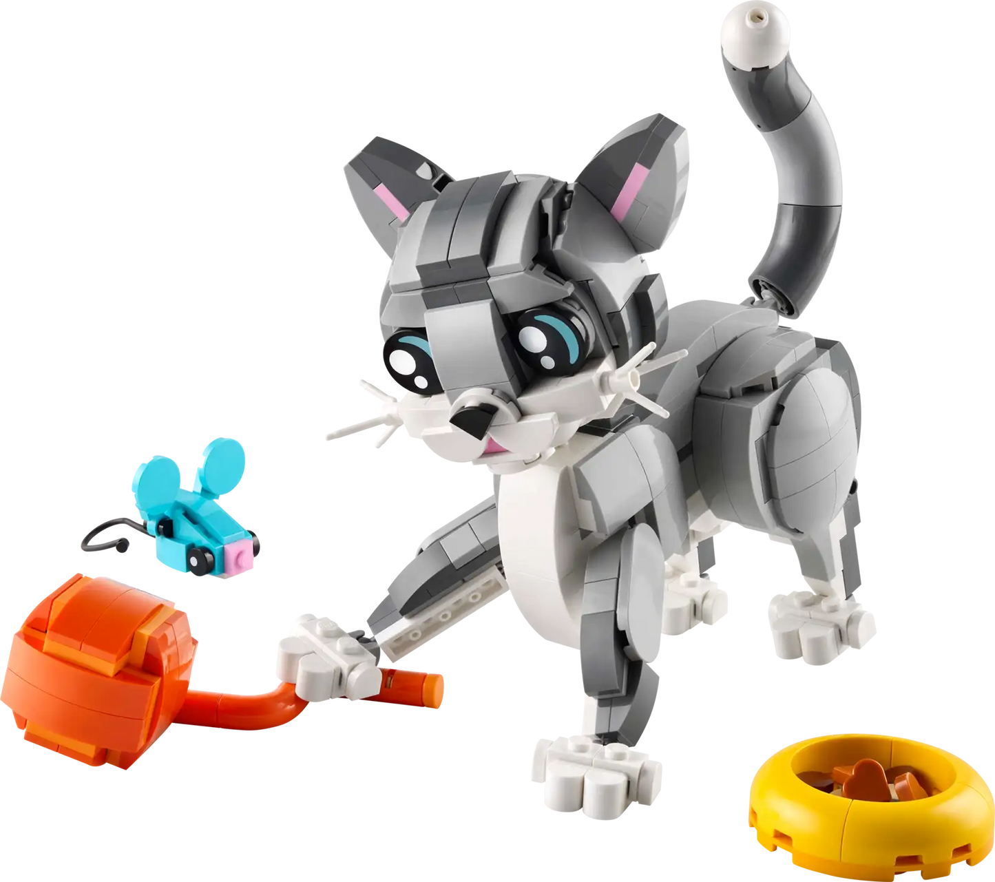 Playful Cat #31163