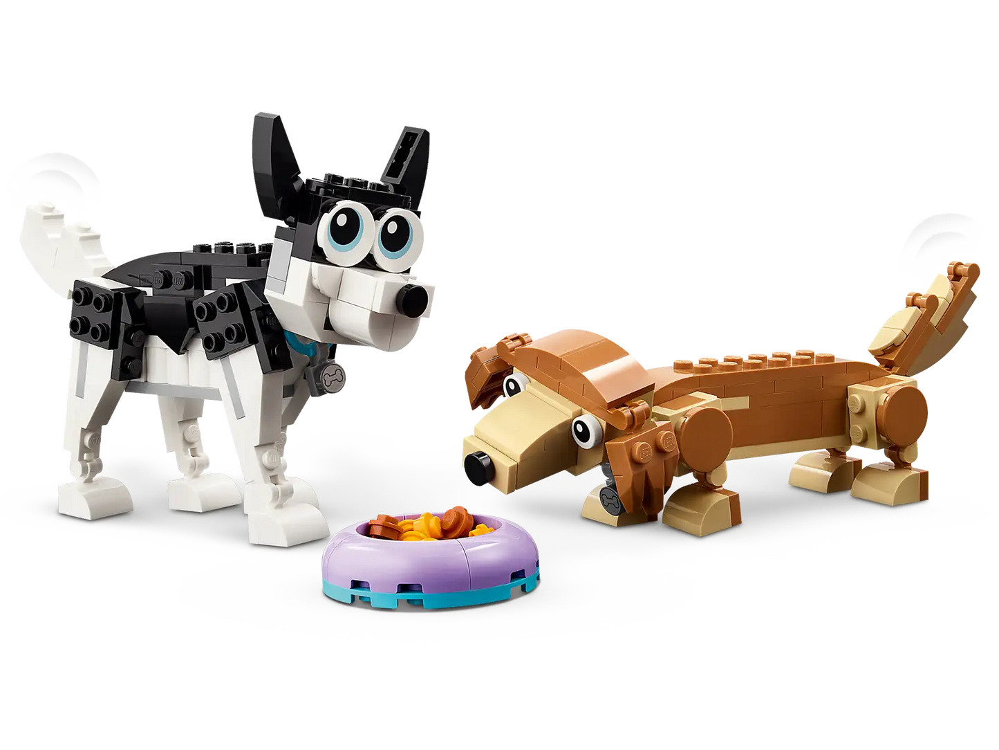 Adorable dogs #31137