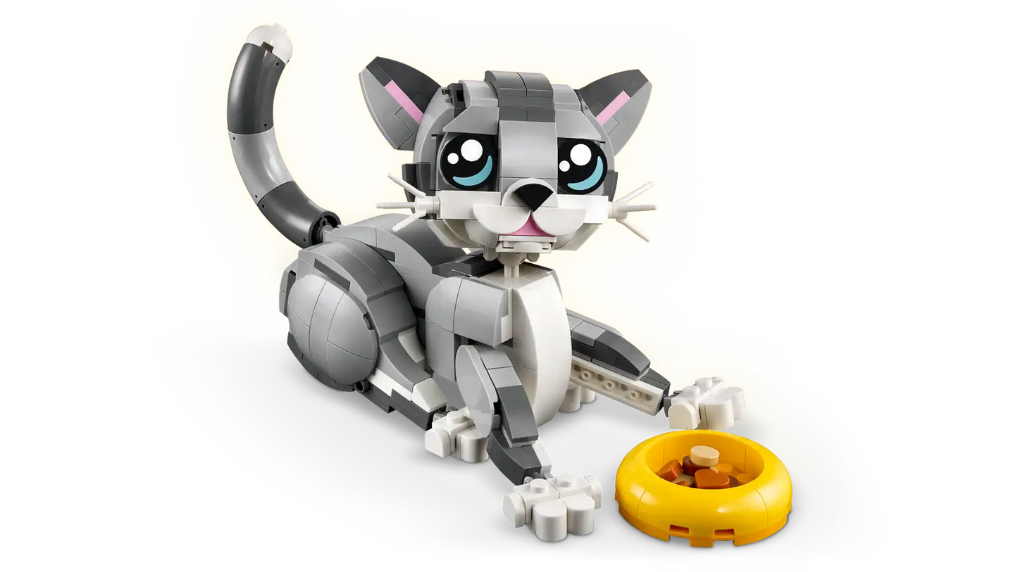 Playful Cat #31163