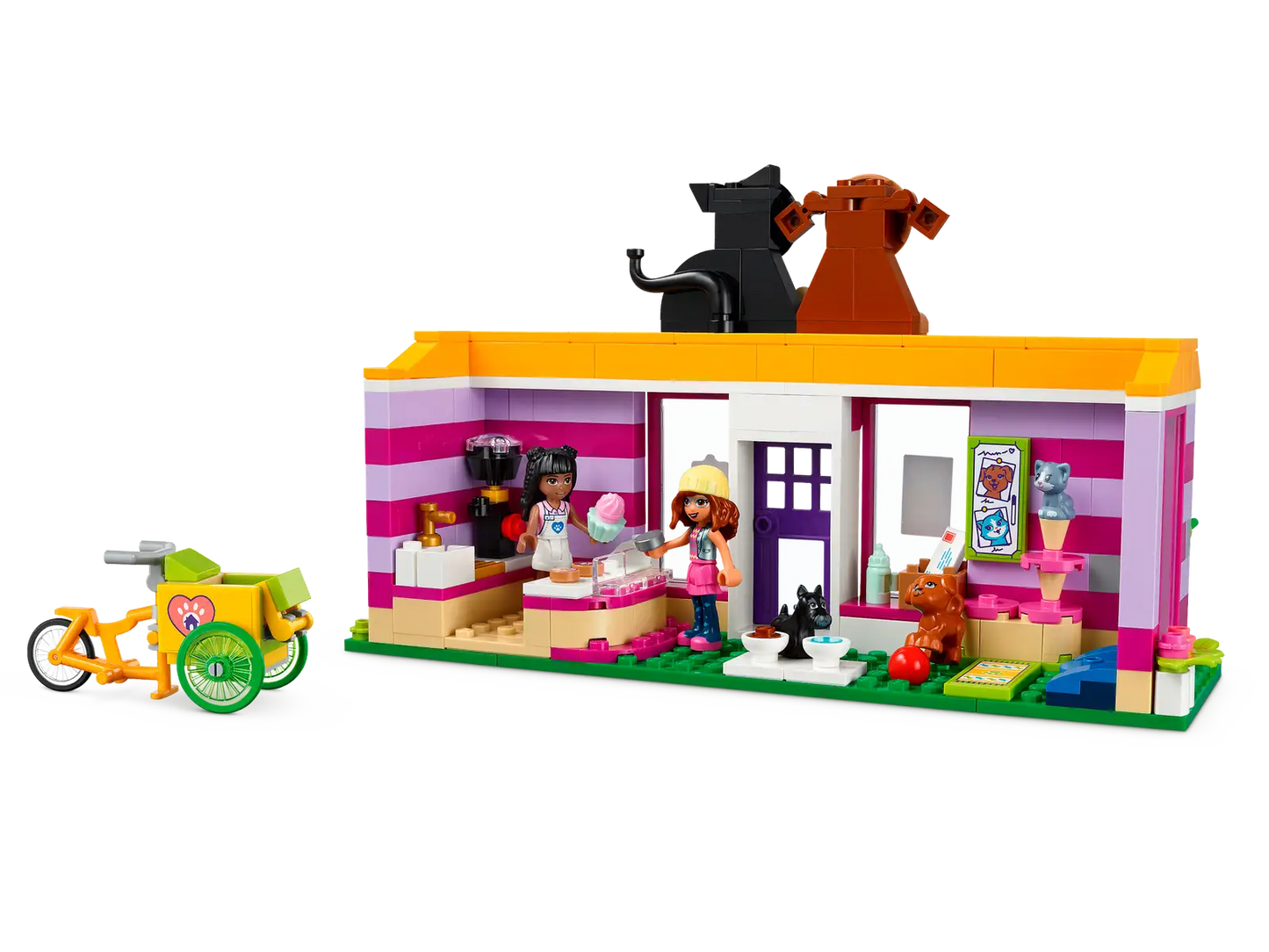 Pet Adoption Café #41699