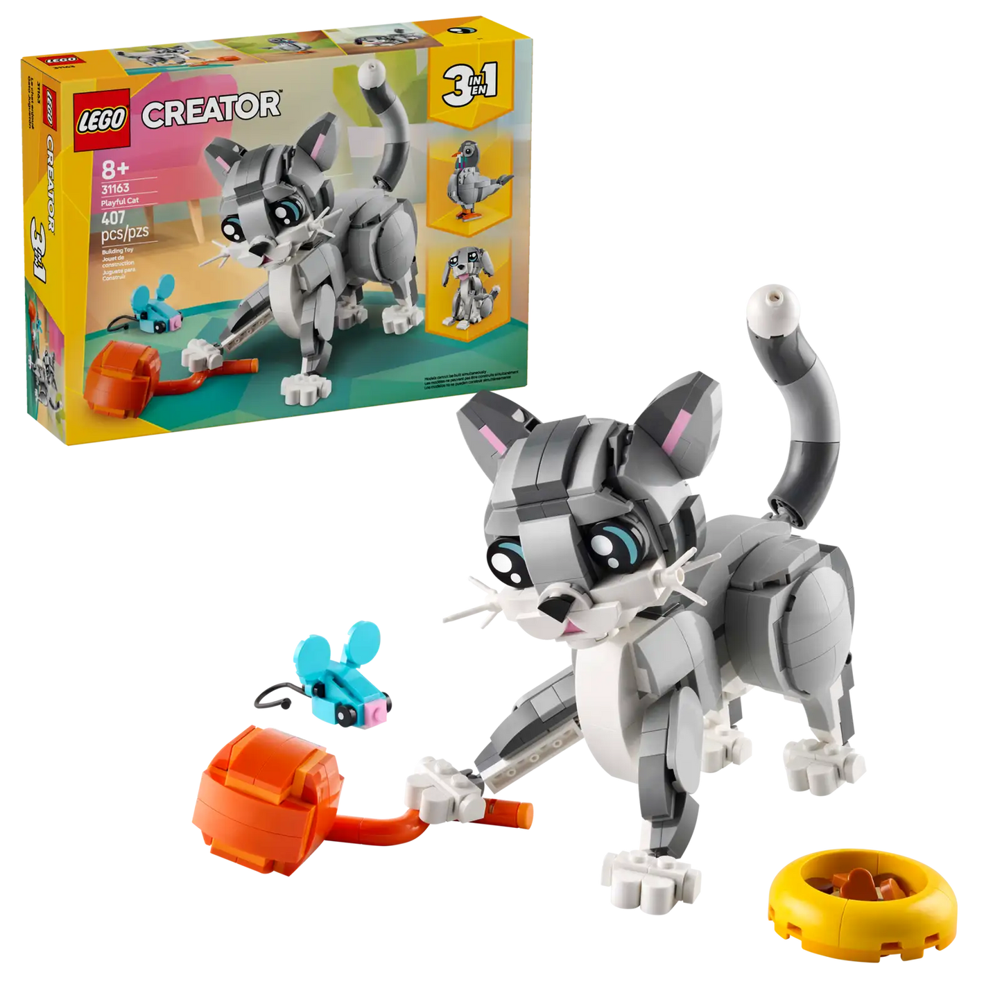 Playful Cat #31163