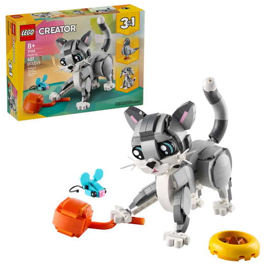 Playful Cat #31163
